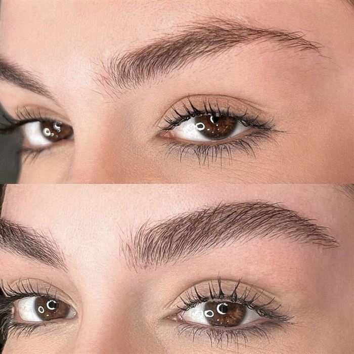 Wimpern & Brauen